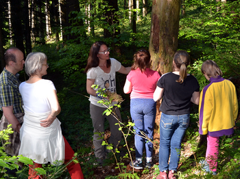 Drei Kinder und zwei Erwachsene stehen vor einem Baumstamm mitten im Wald.