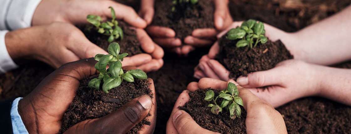 Work,Together,,Grow,Together.,Cropped,Shot,Of,A,Group,Of