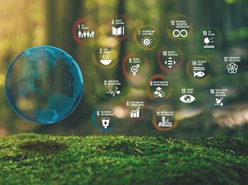 17 Ziele für nachhaltige Entwicklung – kurz SDG – hat die UNO definiert, um ein Leben für alle Menschen sicherzustellen und den Kollaps zu vermeiden. (Foto: Shutterstock) 17,Global,Goals,Concept,Earth,Plexus,Design,In,Moss,Forrest