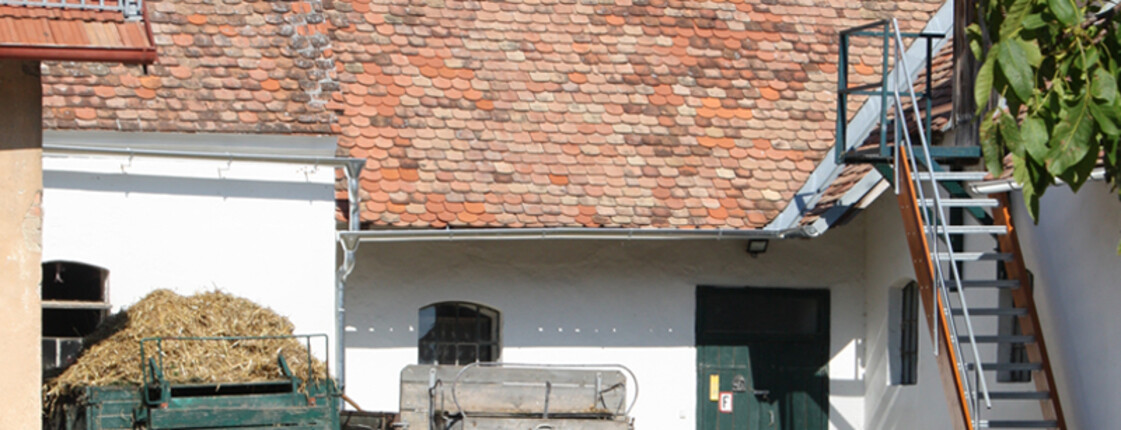 Bauernhof Unternalb Bauernhof Unternalb