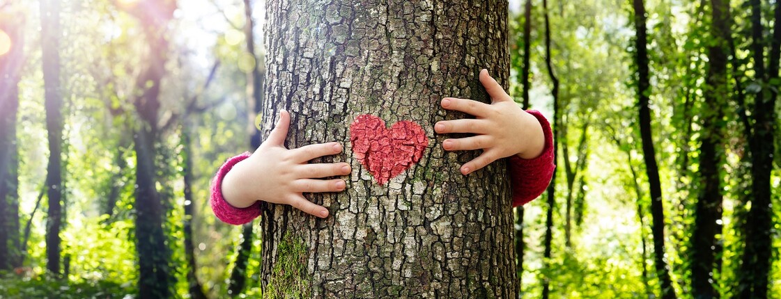 Tree,Hugging,-,Love,Nature,-,Child,Hug,The,Trunk