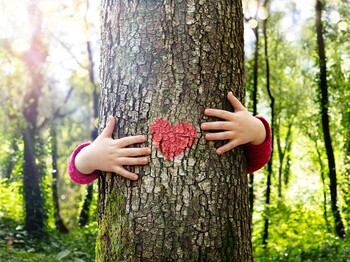 Tree Hugging - Love Nature - Child Hug The Trunk With Red Heart Shape Tree,Hugging,-,Love,Nature,-,Child,Hug,The,Trunk