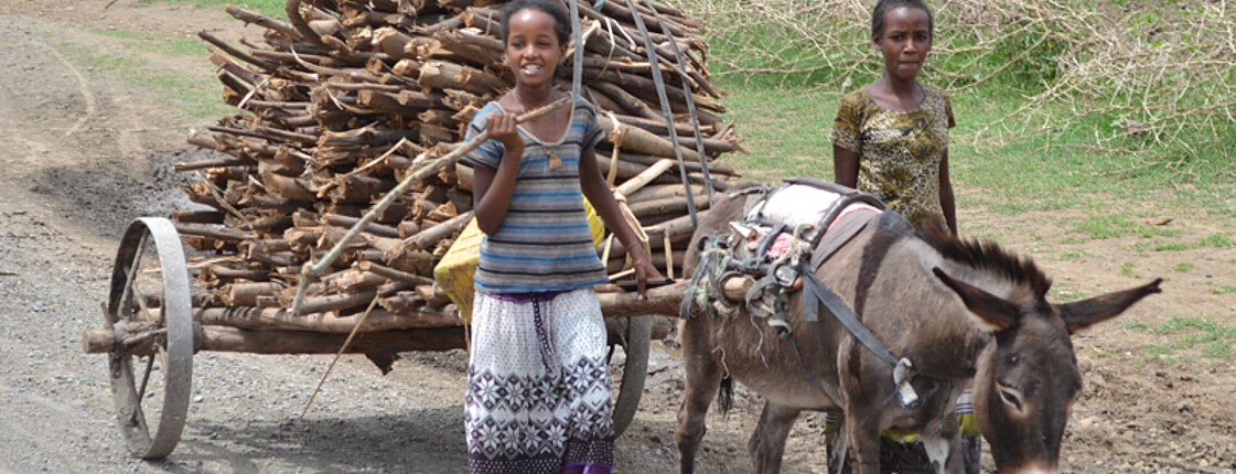 Zwei äthiopische Kinder, schlicht gekleidet, laufen auf einer Schotterstraße neben einem Esel her, der ein Wagen voller Holz zieht. Im Hintergrund befindet sich ein grüner Wald. 