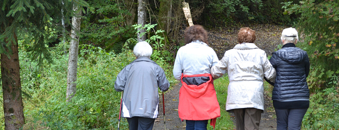 Vier Seniorinnen laufen auf einem Waldweg. Sie wurden von hinten fotografiert. 